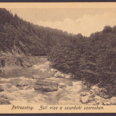 4550 - PETROSANI Hunedoara, Pasul Surduc, Romania - old postcard - unused - 1919