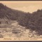 4550 - PETROSANI Hunedoara, Pasul Surduc, Romania - old postcard - unused - 1919