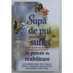 SUPA DE PUI PENTRU SUFLET - POVESTI DE VINDECARE , SPERANTA , IUBIRE SI CURAJ PENTRU SUFLETUL IN PROCES DE REABILITARE DE JACK CANFIELD ...PETER VEGSO