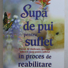 SUPA DE PUI PENTRU SUFLET - POVESTI DE VINDECARE , SPERANTA , IUBIRE SI CURAJ PENTRU SUFLETUL IN PROCES DE REABILITARE DE JACK CANFIELD ...PETER VEGSO