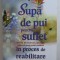 SUPA DE PUI PENTRU SUFLET - POVESTI DE VINDECARE , SPERANTA , IUBIRE SI CURAJ PENTRU SUFLETUL IN PROCES DE REABILITARE DE JACK CANFIELD ...PETER VEGSO