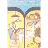 OBIECTE MICI... SATISFACTII MARI-CLAUDIU VODA, STEFAN VODA-272895