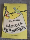 Caciula fermecata - Al. Mitru, 1989 / R4P3F