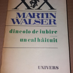 DINCOLO DE IUBIRE-UN CAL HAITUIT -MARTIN WALSER TD