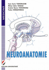 Neuroanatomie foto