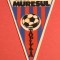 Fanion fotbal - AS &quot;MURESUL&quot; TOPLITA