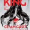 Ce-Am Gasit Al Meu Sa Fie, Stephen King - Editura Nemira