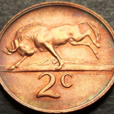 Moneda 2 CENTI - AFRICA de SUD, anul 1971 *cod 3055 = excelenta
