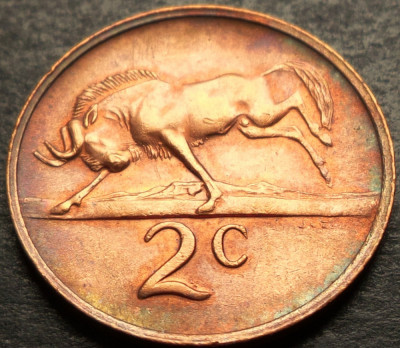 Moneda 2 CENTI - AFRICA de SUD, anul 1971 *cod 3055 = excelenta foto