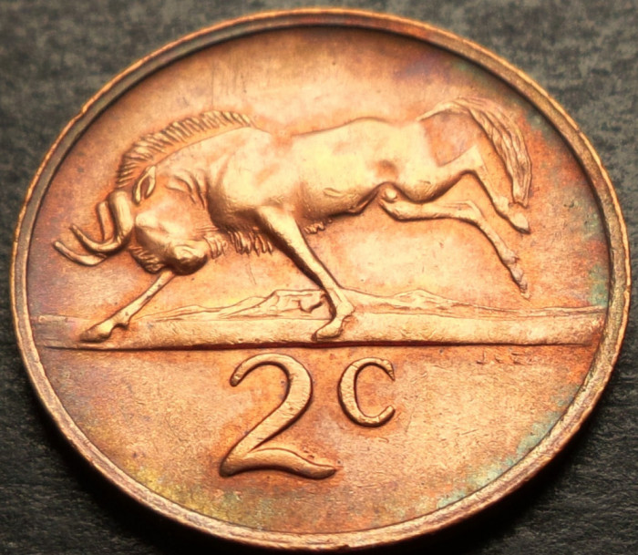 Moneda 2 CENTI - AFRICA de SUD, anul 1971 *cod 3055 = excelenta