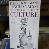 Psychanalyse et theorie de la culture - Pierre Kaufmann