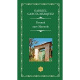 Drumul spre Macondo, Gabriel Garcia Marquez, Rao