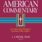 The New American Commentary, Volume 37 - I and II Peter, Jude