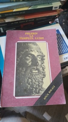 Pelerin la Templul Lumii - Anca Balaci foto