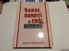 Bande, banditi si eroi. Grupurile de rezistenta (1948-1968) Miscarea legionara foto