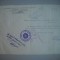 HOPCT DOCUMENT VECHI 406 SCOALA ELEMENTARA NR 3 FETE-DANESCU BOTOSANI 1951