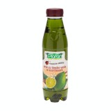 Sirop de lamaie verde si scortisoara, 500ml, Plafar