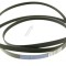 Curea 1971H7 uscator AEG T7DBE38S 140056254018 ELECTROLUX / AEG