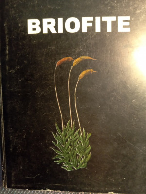 Briofite,gheorghe mohan foto