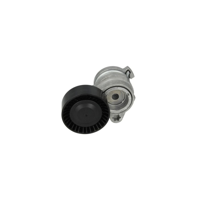Intinzator curea BMW 7 E65 E66 E67 DAYCO APV2305