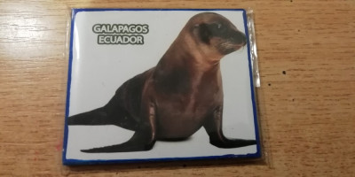 M3 C1 - Magnet frigider - tematica turism - Ecuador 1 foto