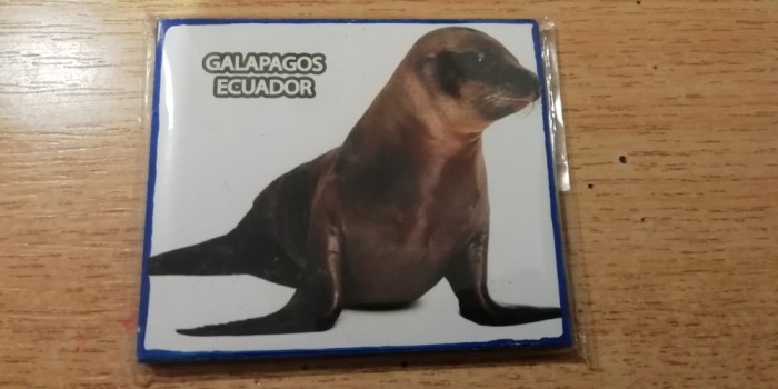 D4 - Magnet frigider - tematica turism - Ecuador 1
