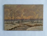Robert Haag artist, Natura, Pastel, Realism
