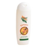 Sampon cu ulei de catina, 200ml, Plant Activ