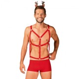 Obsedatul Dl Reindy Set S/M