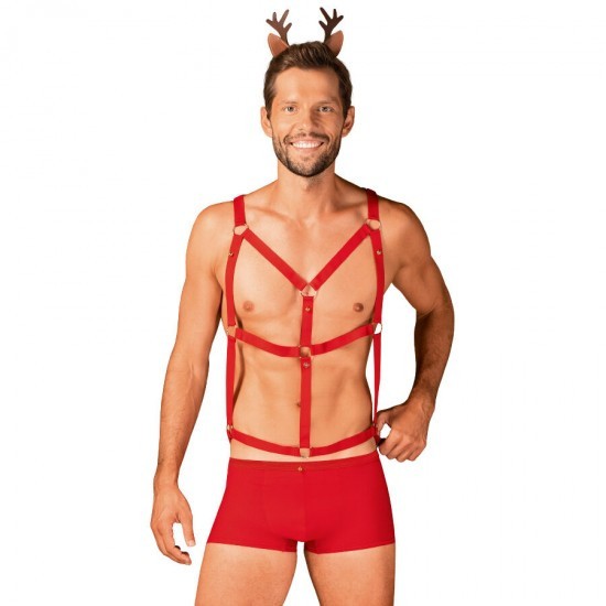 Obsedatul Dl Reindy Set S/M