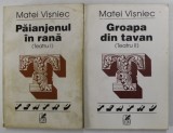 PAIANJENUL IN RANA/ GROAPA DIN TAVAN de MATEI VISNIEC TEATRU VOL-II