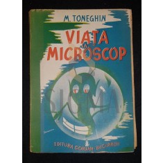 TONEGHIN M.