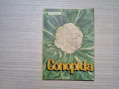 CONOPIDA - M. Voinea - Editura Agro-Silvica, 1967, 136 p.; tiraj: 4000 ex. foto