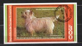 GUINEA ECUATORIALA 1977 - CAINI. TERRIER. BLOC STAMPILAT, C50