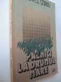 Paznici la drumul mare - Viorel Stirbu