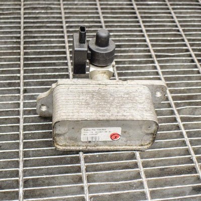 Alt modul de control TESLA MODEL X 2018 OEM: 1037357-00-E,EAS-16M016,1039040-00-D 10647487 foto