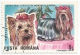 Rom&acirc;nia, LP 1239/1990, Exp. Mondială Canină, Brno, defect h&acirc;rtie, eroare, oblit.