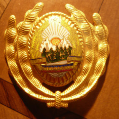 Insigna de Sapca Ofiter RSR , - Stema - metal aurit , dim.= 4,5x5cm
