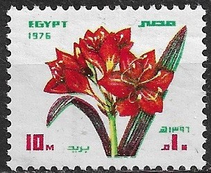 B1383 - Egipt 1976 - Flora neuzat,perfecta stare foto
