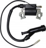 Aprindere Compatibila Honda GX120 GX160 GX200 + Chinezesti 168F 170F 5.5/6.5HP - Distanta 58mm