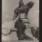 CPI B13630 CARTE POSTALA - CLUJ - STATUIA LUI MATEI CORVIN, RPR
