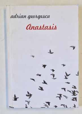 ANASTASIS de ADRIAN GEORGESCU , 2013 foto