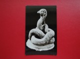 CARTE POSTALA - RPR - MUZEUL DE ARHEOLOGIE CONSTANTA - SARPELE GLYKON