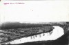 A4617N Pădurea statului Slobozia, Ocolul Silvic Slobozia, Parchetul Balta Mare pe malul r&acirc;ului Ialomița, 1935, cu ștampila ocolului silvic