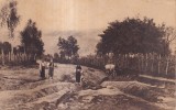 Drumul spre Bughe de jos, Campulung (necirculata)