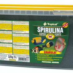 SUPER SPIRULINA FORTE Tropical Fish, 1000ml/ 600g AnimaPet MegaFood