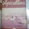 Revista Apicultura, 1 ianuarie 1957 028