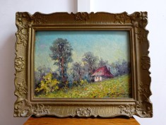 Tablou Victor Stupariu &rsquo;Peisaj montan&rsquo; - Lucrare in ulei pe carton