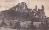 Dorna-Vatra. Pietrele Doamnei (circulata)