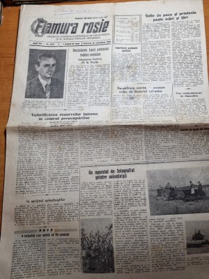 flamura rosie 10 octombrie 1962-articol resita foto